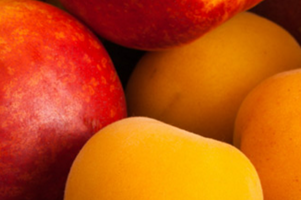 Abricots et nectarines