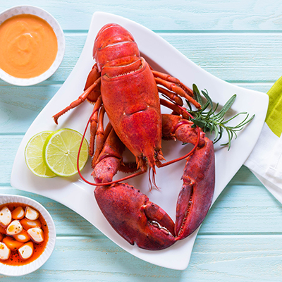 Glossary of Lobster Terms