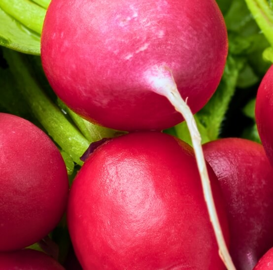 Recipes for Cooking Radish