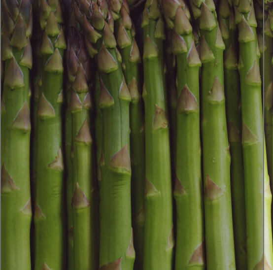 Recettes pour cuisiner les asperges