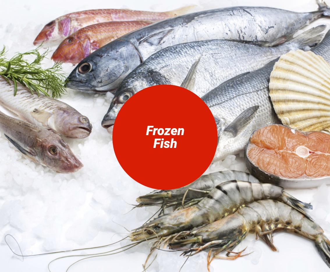 Frozen-Fish